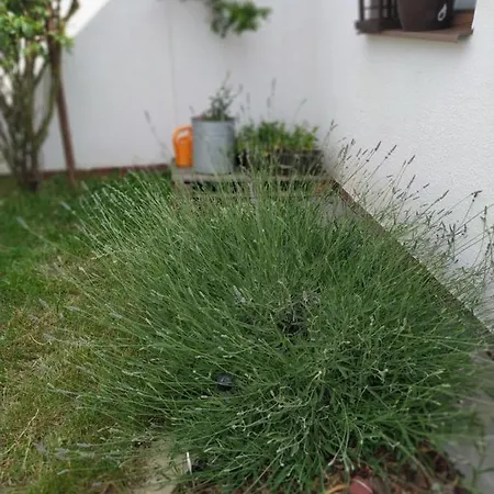 Domecek Na Podhradi Nyaraló