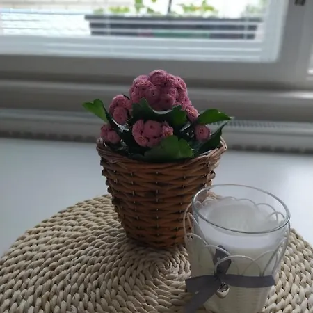 度假居 Domecek Na Podhradi Mělník